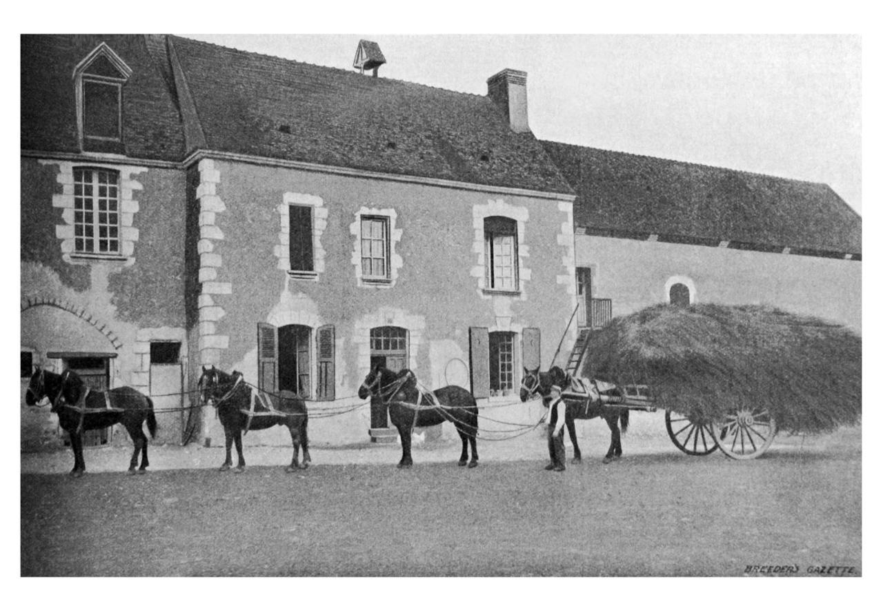 Manoir Du Bois Joly - Du Fournil *