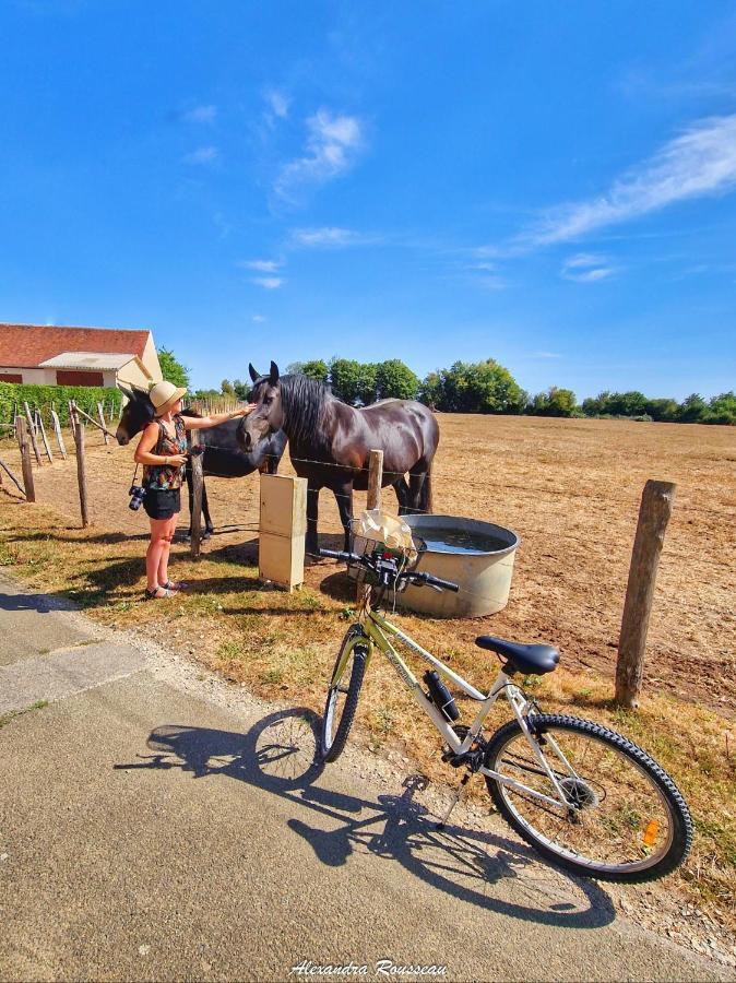 Manoir Du Bois Joly - Du Fournil Margon (Eure-et-Loir)